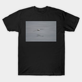 Skimming T-Shirt